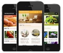手機網(wǎng)站怎樣做才更有效果？如何做優(yōu)化？