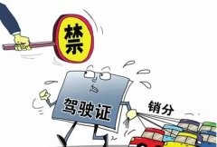青島的朋友們注意啦，9月起禁止使用他人駕照銷